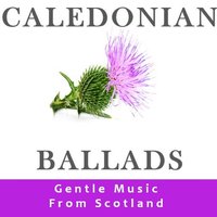 Hasten and Come with Me - The Munros