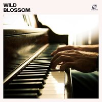 Raindrops Steps - Relaxing Piano Moments & Deep Relax Piano & Chillax Piano & Relaxing Piano Melodies
