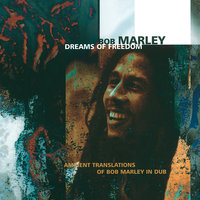 Exodus - Bob Marley & The Wailers & Bill Laswell