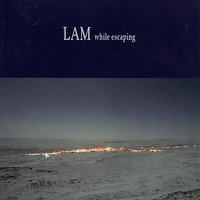 Patterned Smiles - Lam