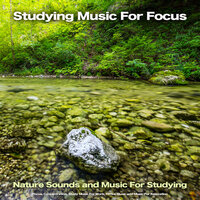 Studying Zen Music - Concentration Music for Work & Studying Music For Focus & Easy Listening Background Music