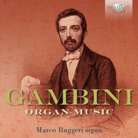 Concertone a più strumenti - Marco Ruggeri