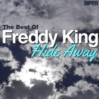 I Love the Woman - Freddie  King