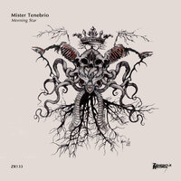 Morning Star - Mister Tenebrio