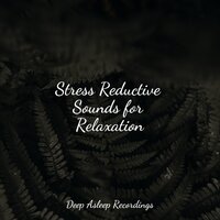 Starshine Universe - Relaxing Nature Music & Sound Sleeping & Kinderlieder-Superstar