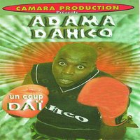 Le vol miraculeux - Adama Dahico