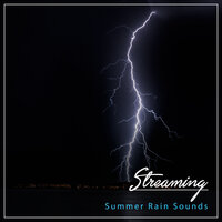 Rain Dancing on the Sidewalk - Rainy Sounds, Weather Sounds, Tinnitus & Tinnitus & Weather Sounds & Rainy Sounds