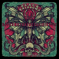 Burn Your Nation - Black Rainbows