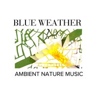 In Dark Garden - Gold Spa Melodies