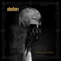Nighttime Violators - SHODAN
