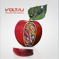 Acolo - Voltaj