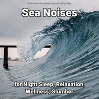 Yoga Asanas - Nature Sounds & Ocean Sounds & Ocean Sounds Recordings