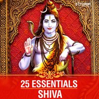 Om Namah Shivay - Shankar Mahadevan