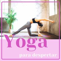 Chakras y Auras - El Mundo Yoga