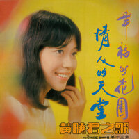 愛的你呀何處尋 - 黃曉君 & The Stylers