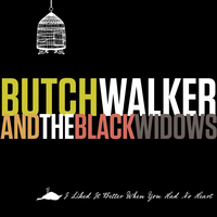 Stripped Down Version - Butch Walker