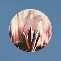Spirited Presence - VANE