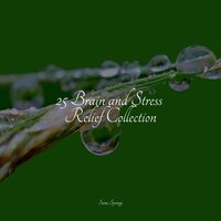 Under Glass - Massage Tribe & Musica Relaxante & Sleep Sounds