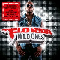 Wild Ones - Flo Rida & Sia