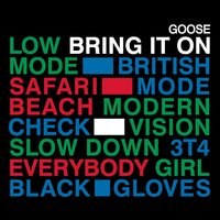 Safari Beach - Goose