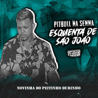 Novinha do Peitinho Durinho (Esquenta de São João) - Pitbull na senna & Mc Fabinho da Osk