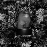 Signal - revolerde