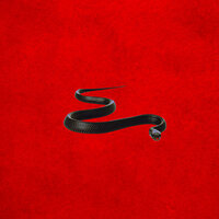 Snake Charmer - Uninvited