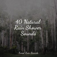 Forest, Night, Frogs - Nature Sounds & Calm shores & Trouble Sleeping Music Universe