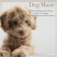Delightful Sounds - Dog Music Dreams & RelaxMyDog & Pet Music Therapy
