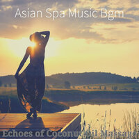 Incredible Music for Onsens - Asian Spa Music Bgm