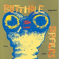 Who Was In My Room Last Night? - Butthole Surfers