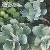 Absence of Gravity - Audio Dope & Pablo Nouvelle