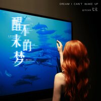 醒不来的梦 - 七元 & AH