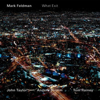Ink Pin - Mark Feldman