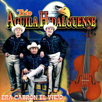 Mi Complice - Aguila Hidalguense