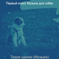 Видения (Тихие щенки) - Первый класс Музыка для собак
