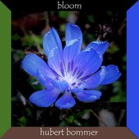 Flourishing Cities - Hubert Bommer