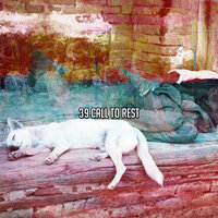 Night Blessing - Rockabye Lullaby
