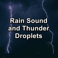 Rain Droplets To Relax and Loop for 8 Hours - Nature Sounds & Nature Sounds Nature Music & Nature Sounds for Sleep and Relaxation