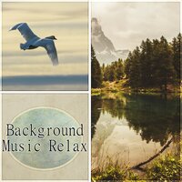 Chill Out Music (Music for Yoga) - Relaxing Chillout Music Zone