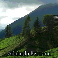 Winter Disco - Adalardo Bertrand