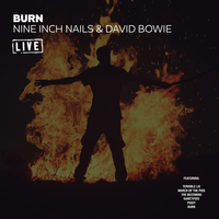 Reptile - Nine Inch Nails & David Bowie