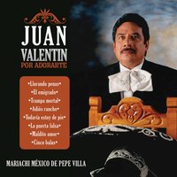 Pena Tras Pena - Mariachi México de Pepe Villa & Juan Valentin