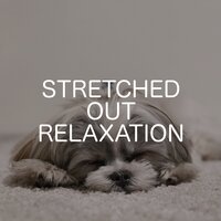 Above the Clouds - Relaxing Chill Out Music & Ambient Nature White Noise