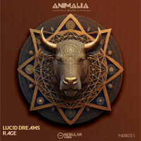 Lucid Dreams - Rage