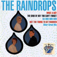 Hanky Panky - The Raindrops