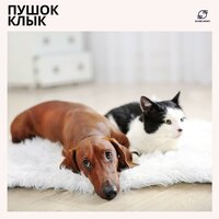 Музыка для Тревожных Питомцев - Музыка для собак & Музыка для домашних животных & Лечебная музыка для животных & Мягкая музыка для собак