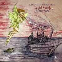 Neverland - David Surok & The Mechanic & Vindicator