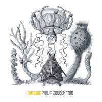 The Clearing - David Helm & Dominik Mahnig & Philip Zoubek Trio
