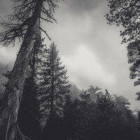 Deserted - Haunted House, Haunted House Music, Halloween Masters & Halloween Masters & Haunted House & Haunted House Music